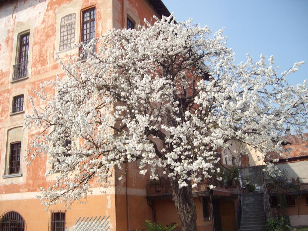 Il Castello Delle Meraviglie Fontaneto d'Agogna Экстерьер фото